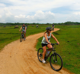 Cycling Day Tours in Phuket
