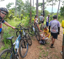 Active Thailand Bike Tours