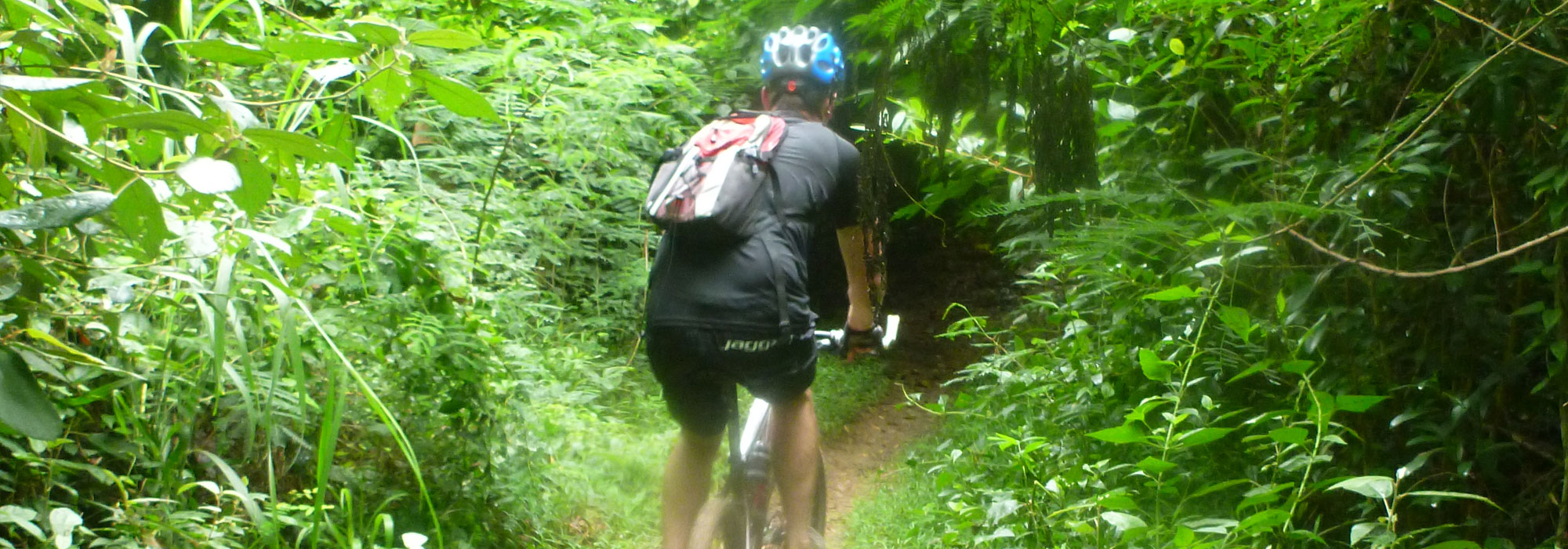 Sandy Forest Trail