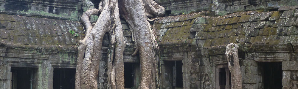 The Temples of Angkor