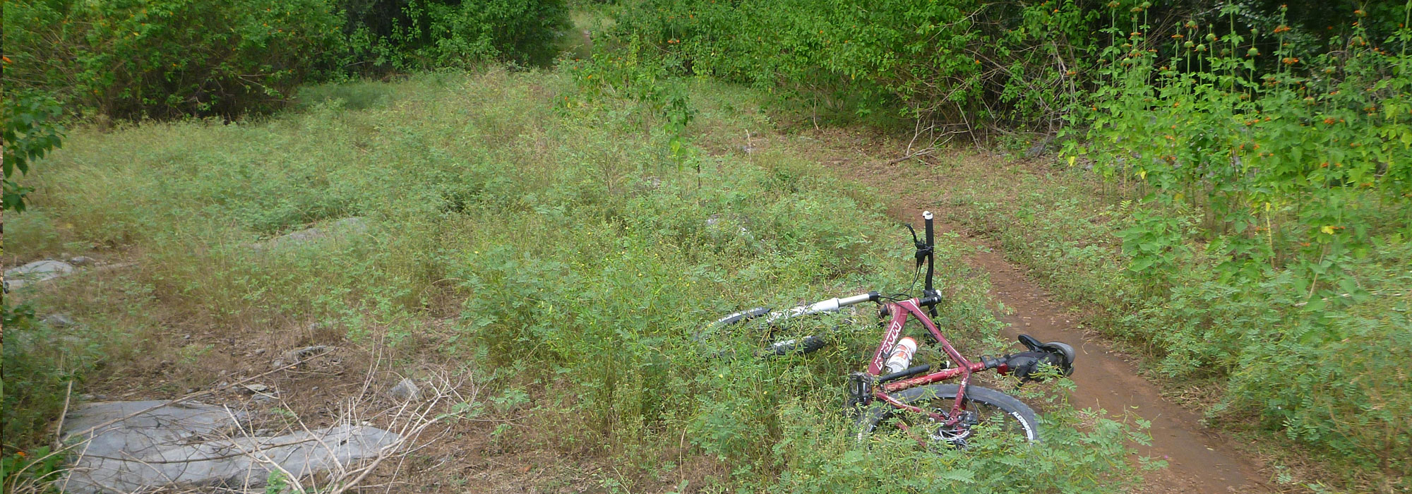 MTB Suphanburi