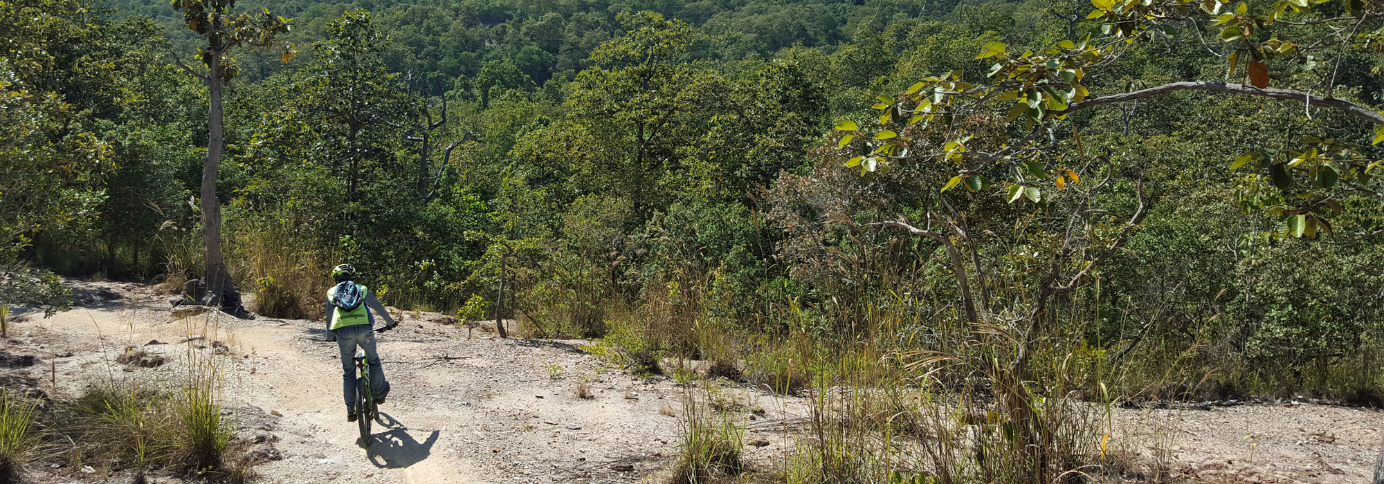 Downhill MTB Track in Chiang Mai