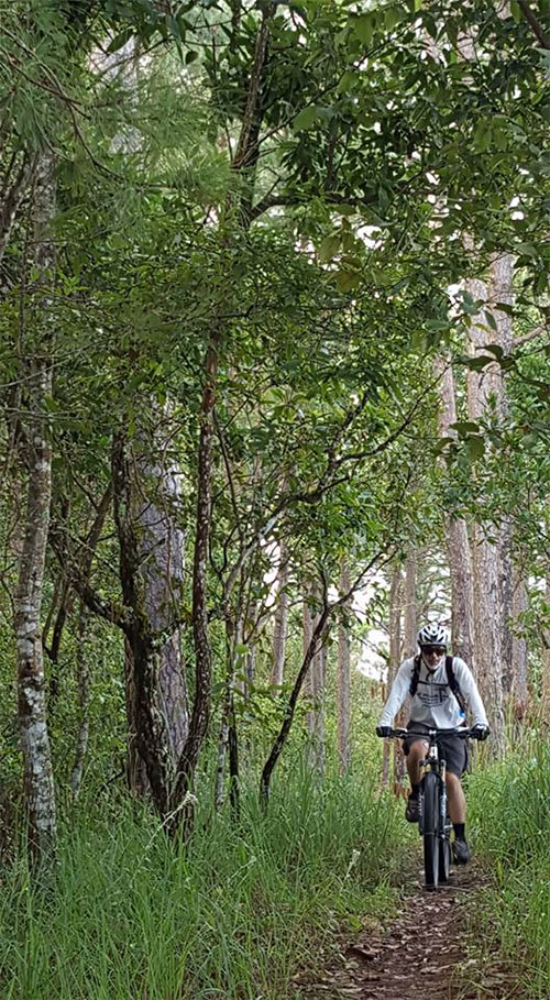 Best MTB tracks in Chiang Mai