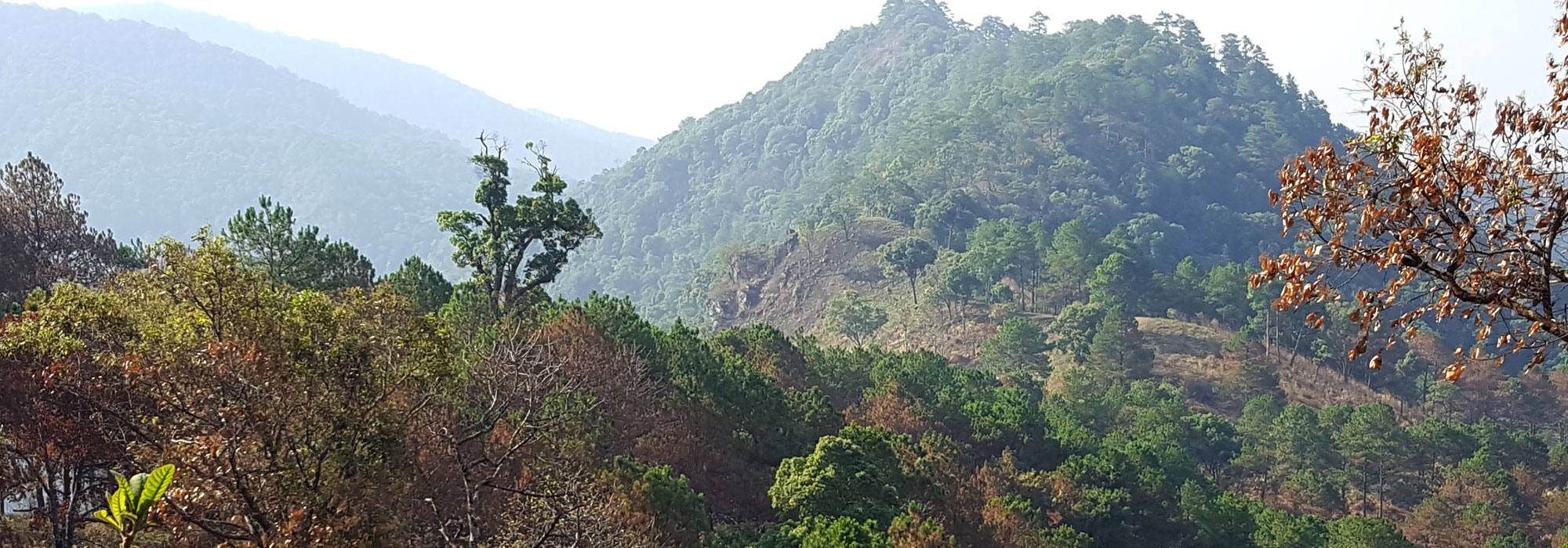 Doi Pa Klong MTB