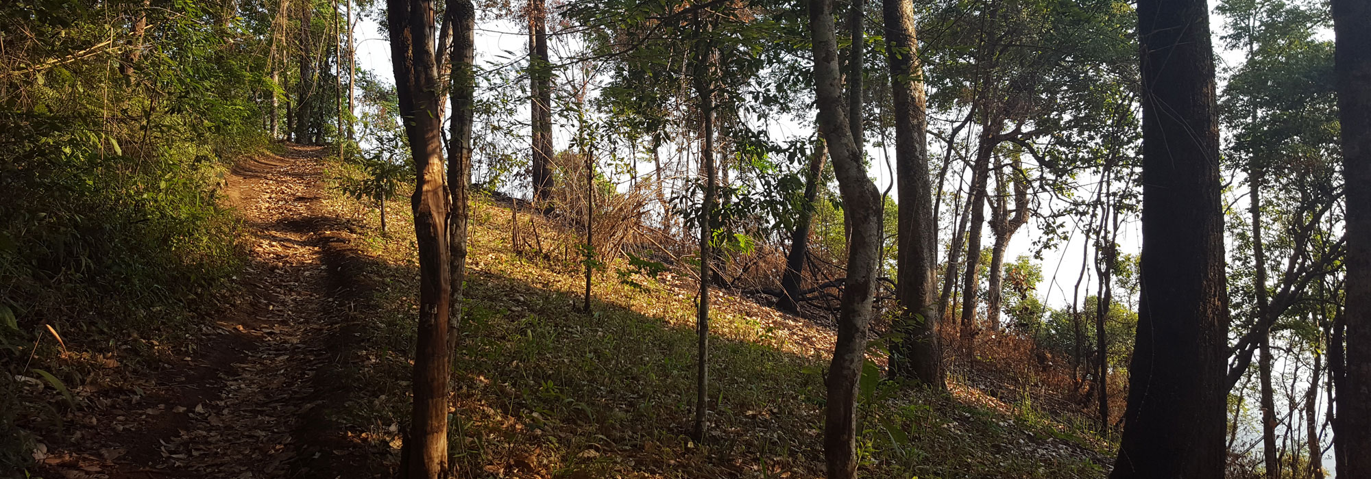 Doi Pa Klong