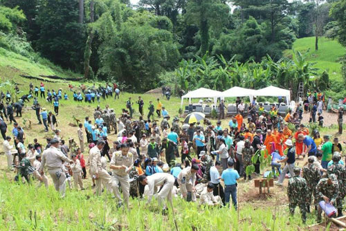Tree Planting in Chae Son