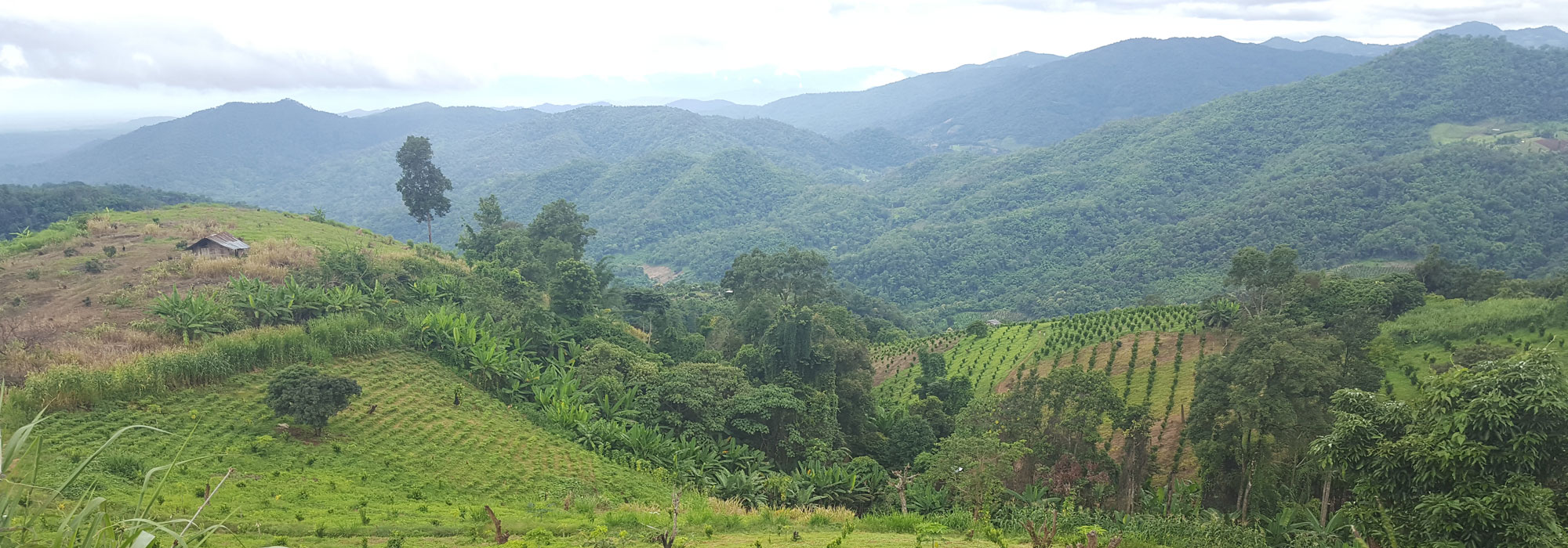 View Around Chiang Dao