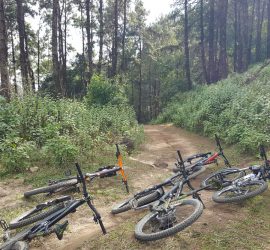 Mountain Biking Chiang Mai