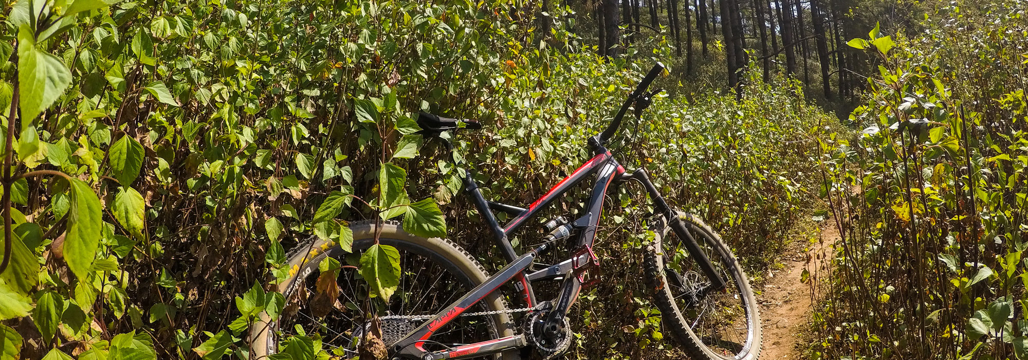 Cycling in Northern Thailand