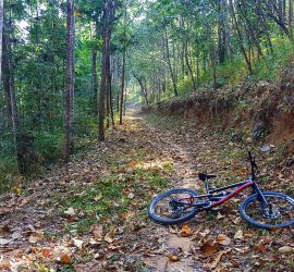 Cycling Trails in Chiang Mai