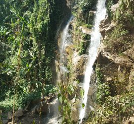 Mork Fa Waterfall Chiang Mai