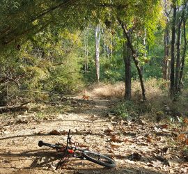 MTB Mork Fa