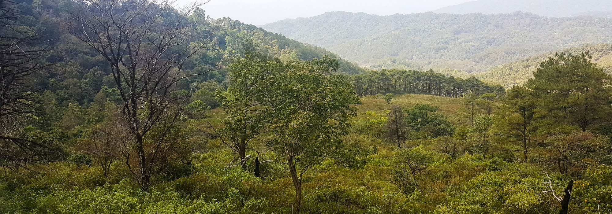 MTB in Northern Thailand