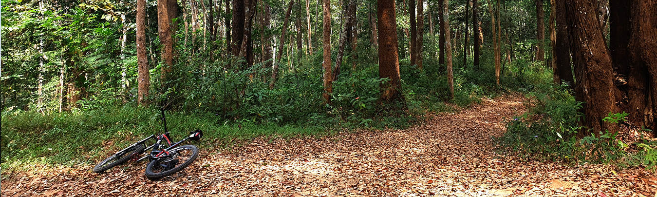 Different MTB Chiang Mai
