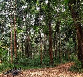 MTB Chiang Mai Mae Rim