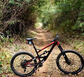 Single Track Chiang Mai