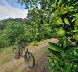 Mountain Biking Mae Rim